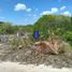  Grundstück zu verkaufen in Chicxulub Pueblo, Yucatan, Chicxulub Pueblo, Yucatan