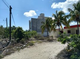  Grundstück zu verkaufen in Chicxulub Pueblo, Yucatan, Chicxulub Pueblo, Yucatan