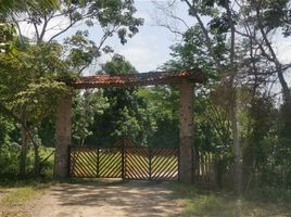  Land for sale in Compostela, Nayarit, Compostela