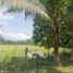  Land for sale in Compostela, Nayarit, Compostela