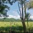  Land for sale in Compostela, Nayarit, Compostela