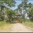  Land for sale in Compostela, Nayarit, Compostela