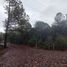  Land for sale in Huasca De Ocampo, Hidalgo, Huasca De Ocampo