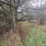  Land for sale in Huasca De Ocampo, Hidalgo, Huasca De Ocampo