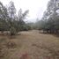  Land for sale in Huasca De Ocampo, Hidalgo, Huasca De Ocampo