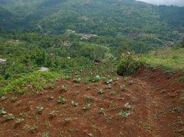  Land for sale in Bandung, West Jawa, Sumurbandung, Bandung