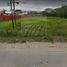  Land for sale in Paraiso, Tabasco, Paraiso