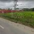  Land for sale in Paraiso, Tabasco, Paraiso
