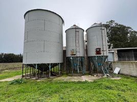  Terreno (Parcela) en alquiler en General Alvarado, Buenos Aires, General Alvarado