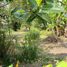  Terreno (Parcela) en venta en Ngaglik, Yogyakarta, Ngaglik, Sleman