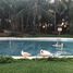 3 Bedroom Condo for sale in Cancun, Quintana Roo, Cancun