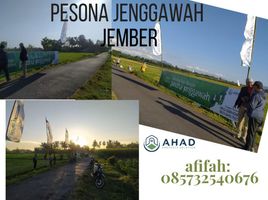  Land for sale in Jenggawah, Jember, Jenggawah