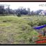  Land for sale in Ubud, Bali, Ubud, Gianyar