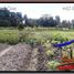  Land for sale in Ubud, Bali, Ubud, Gianyar