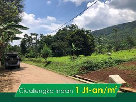  Land for sale in Bandung, West Jawa, Cicalengka, Bandung