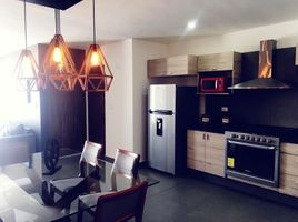 2 Schlafzimmer Wohnung zu verkaufen in San Pedro Cholula, Puebla, San Pedro Cholula