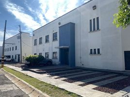 291.88 SqM Office for rent in Zapopan, Jalisco, Zapopan