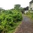  Terreno (Parcela) en venta en Jimbaran, Bali, Jimbaran