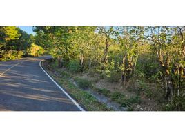  Terrain for sale in Jungla de Panama Wildlife Refuge, Palmira, Palmira