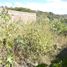  Land for sale in Acatlan De Juarez, Jalisco, Acatlan De Juarez