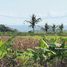  Land for sale in Kerambitan, Tabanan, Kerambitan