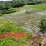  Land for sale in Kerambitan, Tabanan, Kerambitan