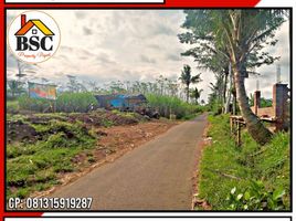  Land for sale in Kepanjen, Malang Regency, Kepanjen