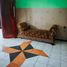 6 Kamar Rumah for sale in Blimbing, Malang Regency, Blimbing