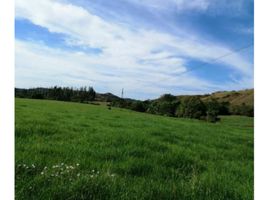  Terrain for sale in Veraguas, La Mesa, La Mesa, Veraguas