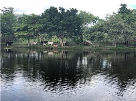 Estudio Casa en venta en Colombia, Alvarado, Tolima, Colombia