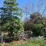 Studio House for sale in Chemax, Yucatan, Chemax