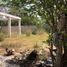  Land for rent in Merida, Yucatan, Merida
