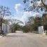  Land for rent in Merida, Yucatan, Merida