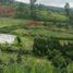  Grundstück zu verkaufen in Lembang, West Jawa, Lembang, Bandung