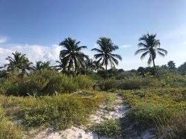  Land for sale in Lazaro Cardenas, Quintana Roo, Lazaro Cardenas