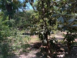  Grundstück zu verkaufen in Garcia, Nuevo Leon, Garcia