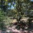  Land for sale in Garcia, Nuevo Leon, Garcia
