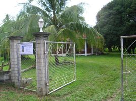  Grundstück zu vermieten in Dumaguete City, Negros Oriental, Dumaguete City