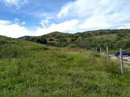  Land for sale in Garzon, Huila, Garzon