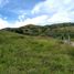  Land for sale in Garzon, Huila, Garzon