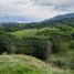  Terrain for sale in Fredonia, Antioquia, Fredonia