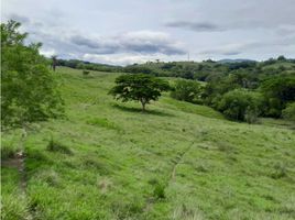  Land for sale in Fredonia, Antioquia, Fredonia