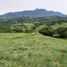  Terrain for sale in Fredonia, Antioquia, Fredonia