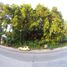 Grundstück zu verkaufen in Tagbilaran City, Central Visayas, Tagbilaran City