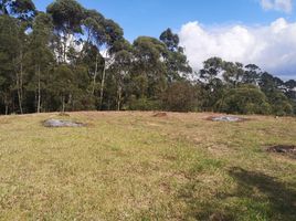  Terreno (Parcela) en venta en Rionegro, Antioquia, Rionegro