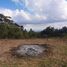  Terreno (Parcela) en venta en Rionegro, Antioquia, Rionegro