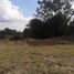  Terreno (Parcela) en venta en Rionegro, Antioquia, Rionegro
