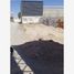  Land for rent in Torreon, Coahuila, Torreon, Coahuila