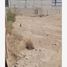  Land for rent in Torreon, Coahuila, Torreon, Coahuila