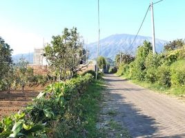  Land for sale in Bumiaji, Malang Regency, Bumiaji